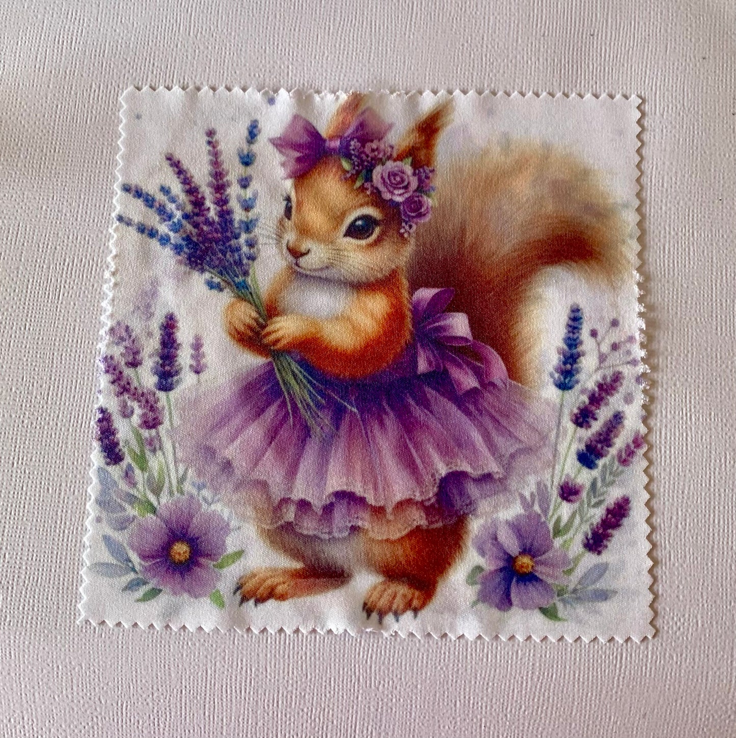 Eye Glasses Cleaning Cloth Squirrel