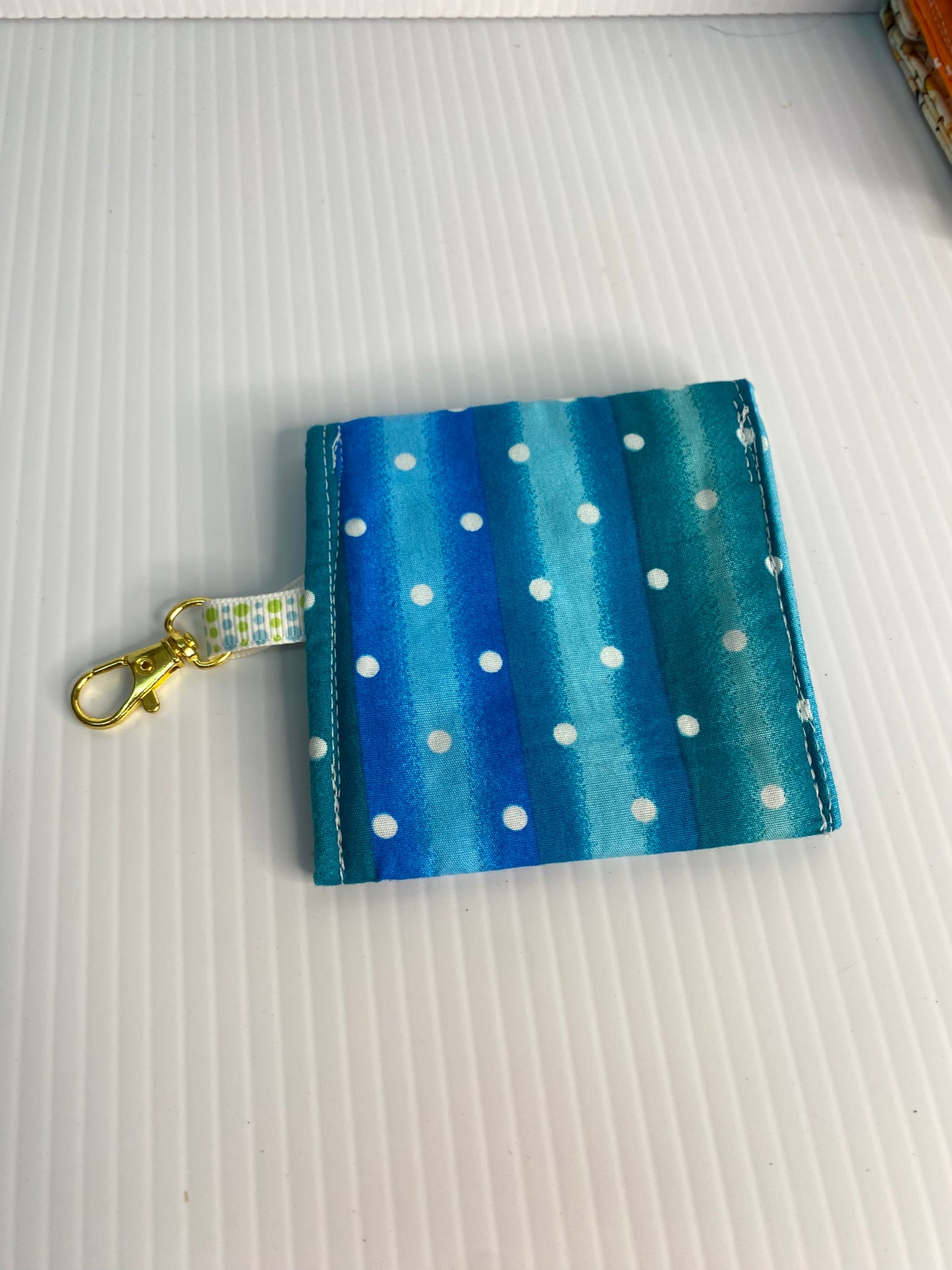 Large Ear Bud Pouch - Blue Stripe Spots