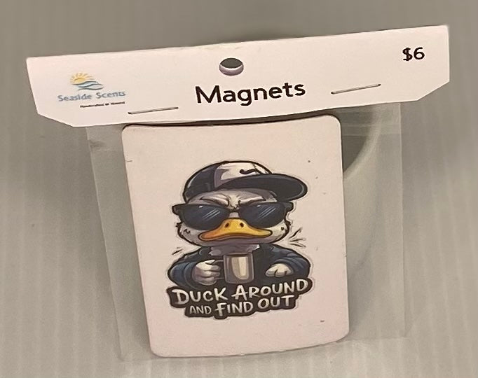 Magnet -Duck Around