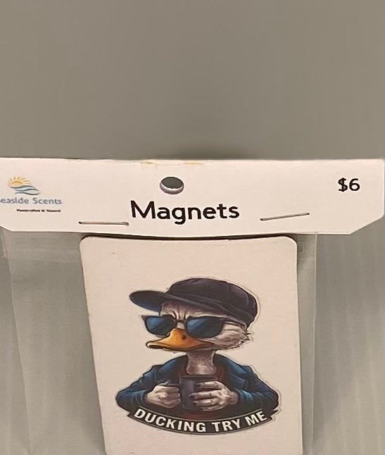 Magnet -Ducking Try Me