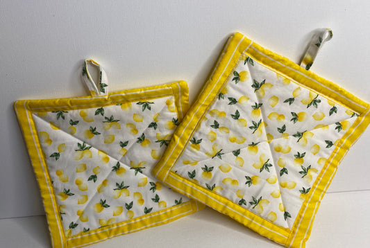 Pot Holders Set of 2