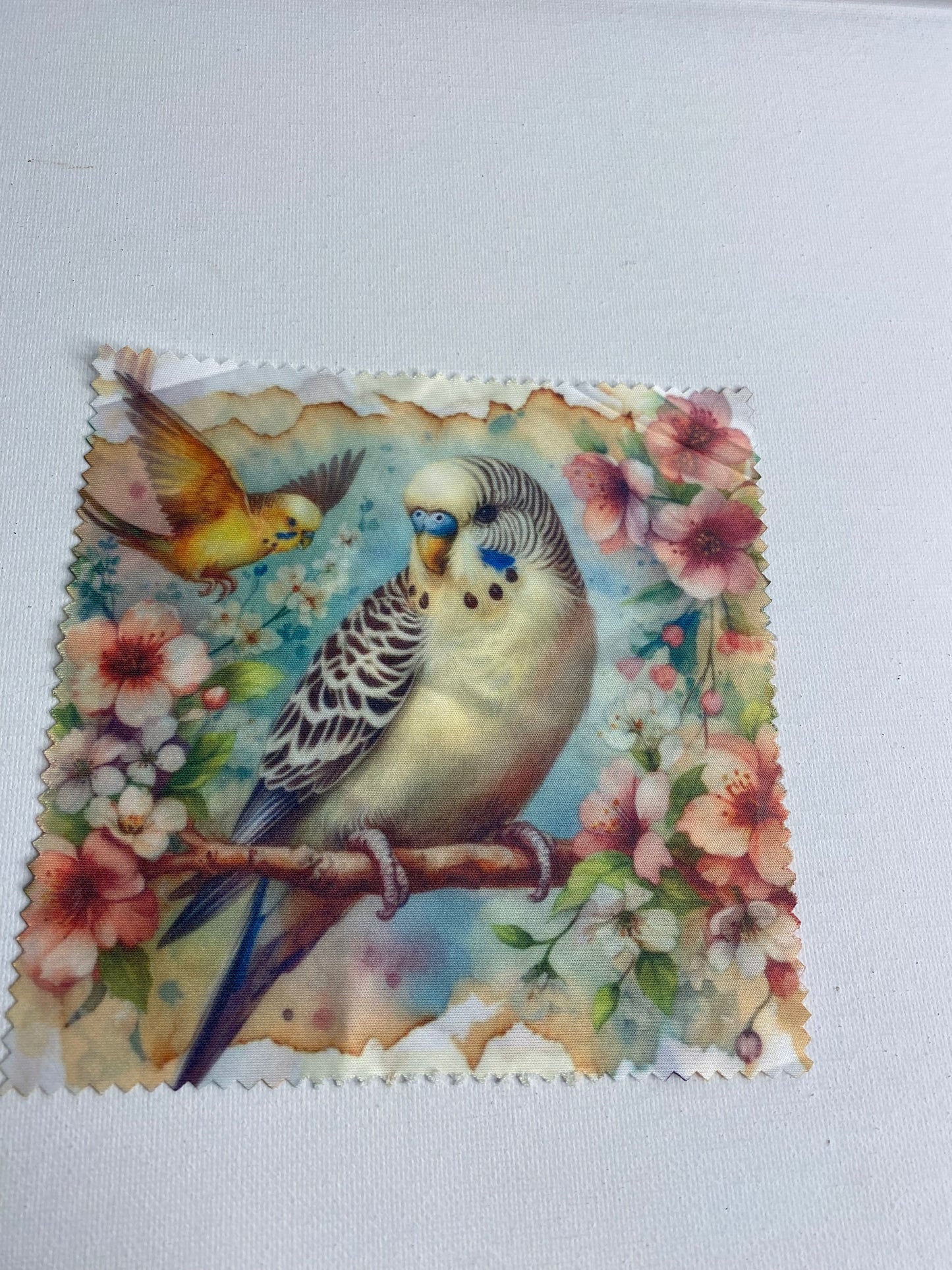 Eye Glasses Cleaning Cloth Budgies