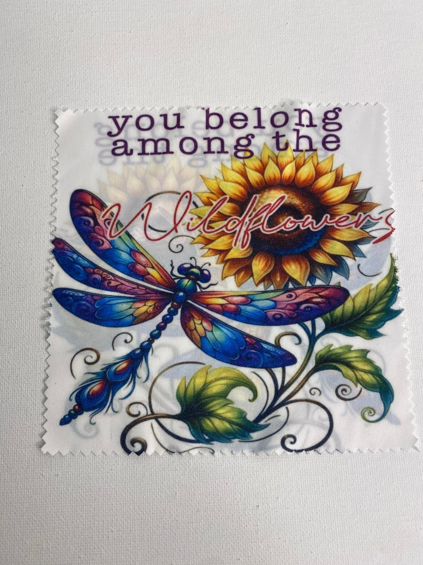 Eye Glasses Cleaning Cloth You Belong