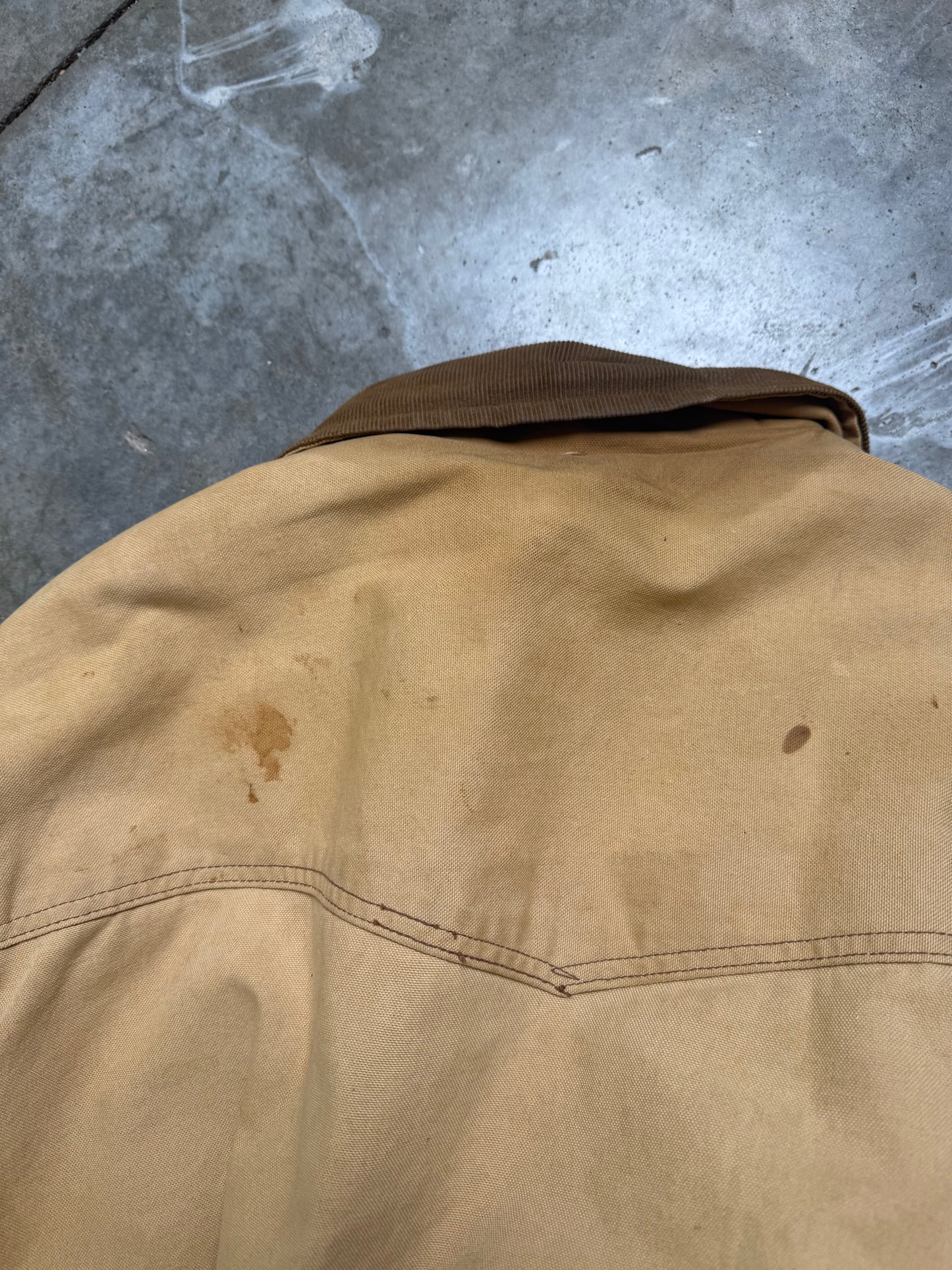 Car Coasters Frog on a Flower