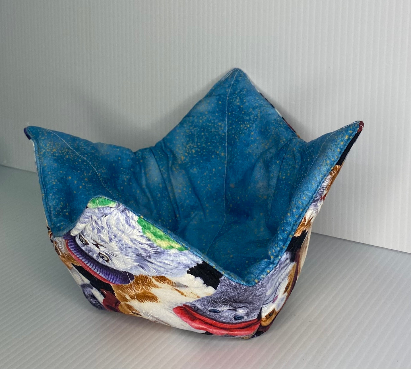 Microwave Bowl Cosy Pussy Cats With Blue