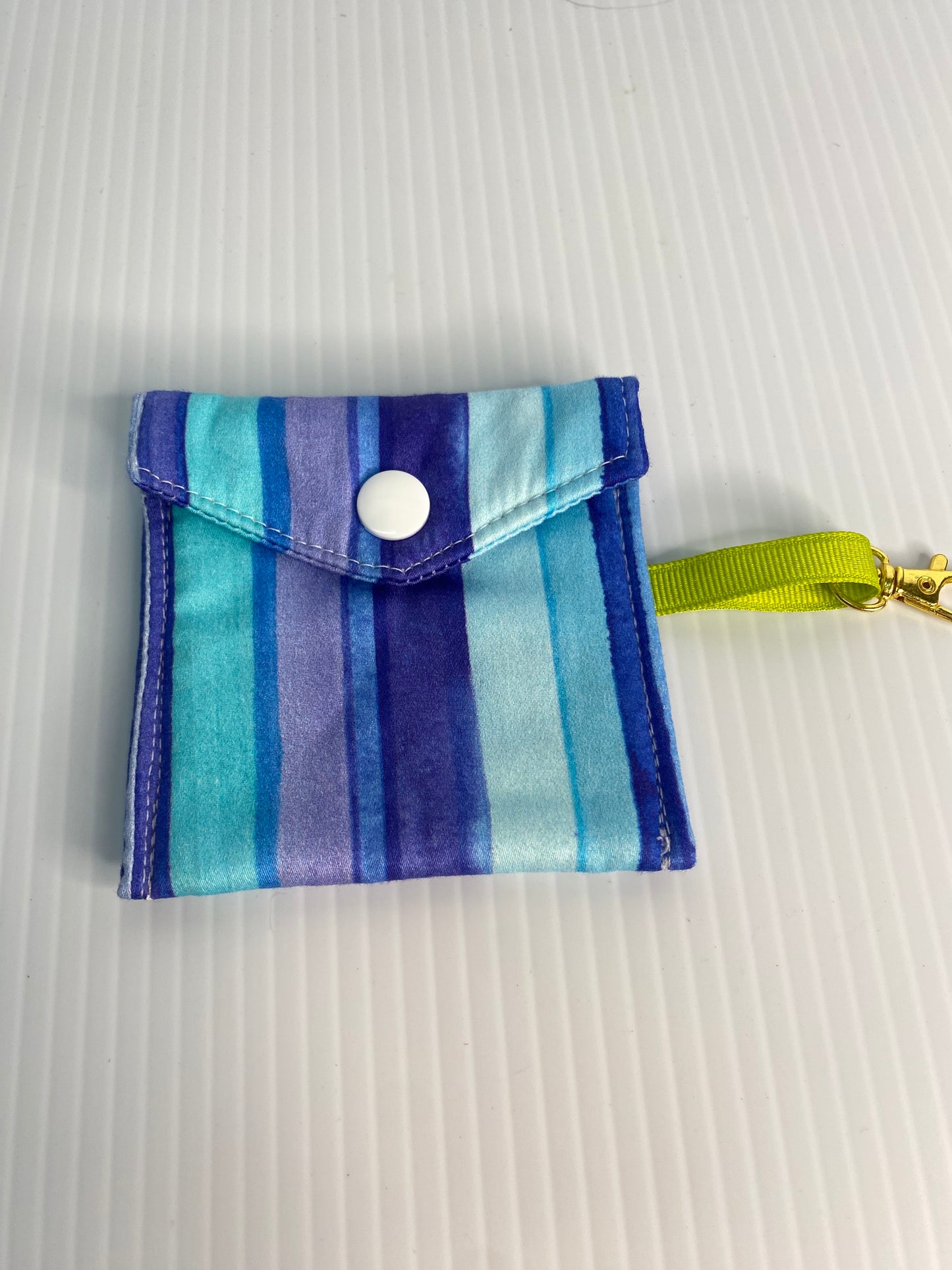 Large Ear Bud Pouch -  Blues Stripes