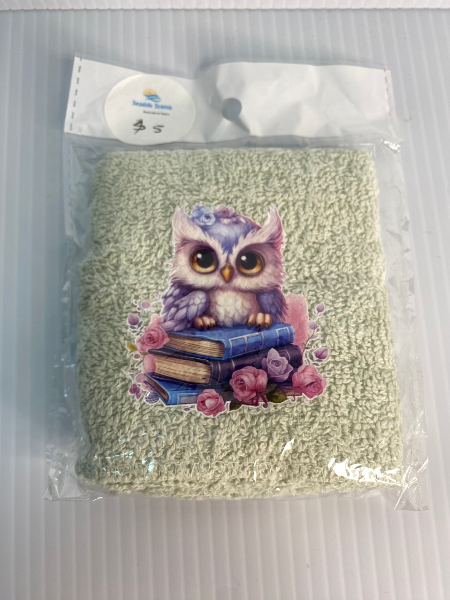 Baby Face Washer- Owl sitting on Books on a Light Green Washer