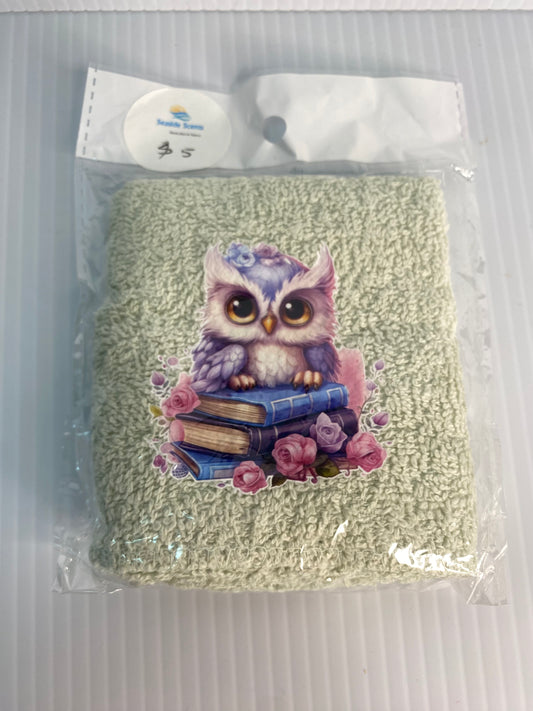 Baby Face Washer- Owl sitting on Books on a Light Green Washer