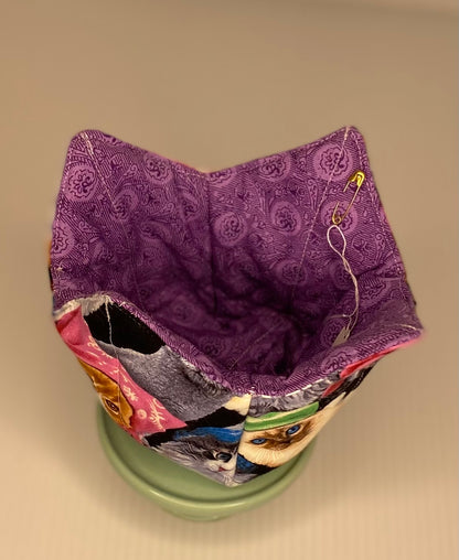 Noodles & Ice cream  Cosy - Cats Galore