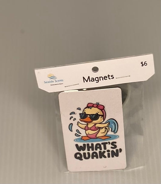 Magnet  -What's Quacking